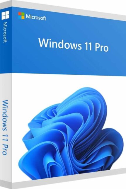 windows 11 pro lisans