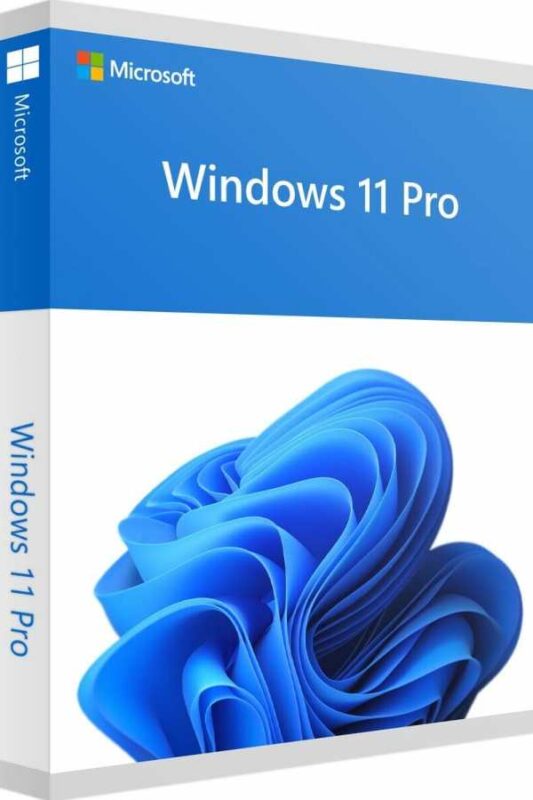 windows 11 pro lisans