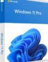 windows 11 pro lisans
