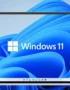 Windows 11 Satın Al